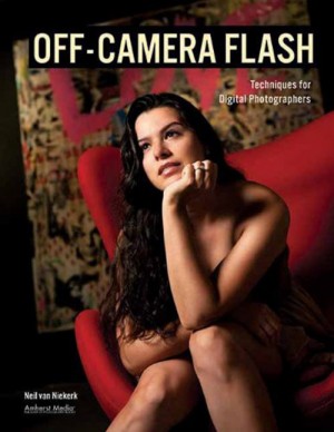 Neil van Nekerk's book, Off-Camera Flash, helps refine off-camera flash techniques a lot.