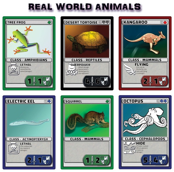 Real World Animals