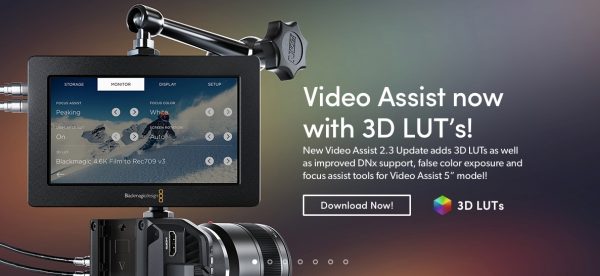 Video Assist with 3D LUTs
