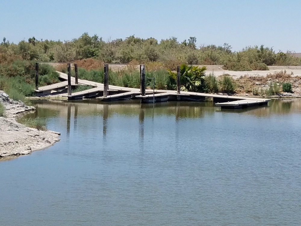 A combination of increased salinity of the water and polluted runoff from nearby farming communities has led to the near-absence of life in the water
